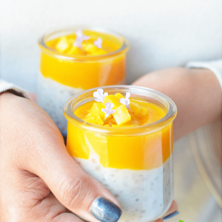 Instant Pot Tapioca Pudding