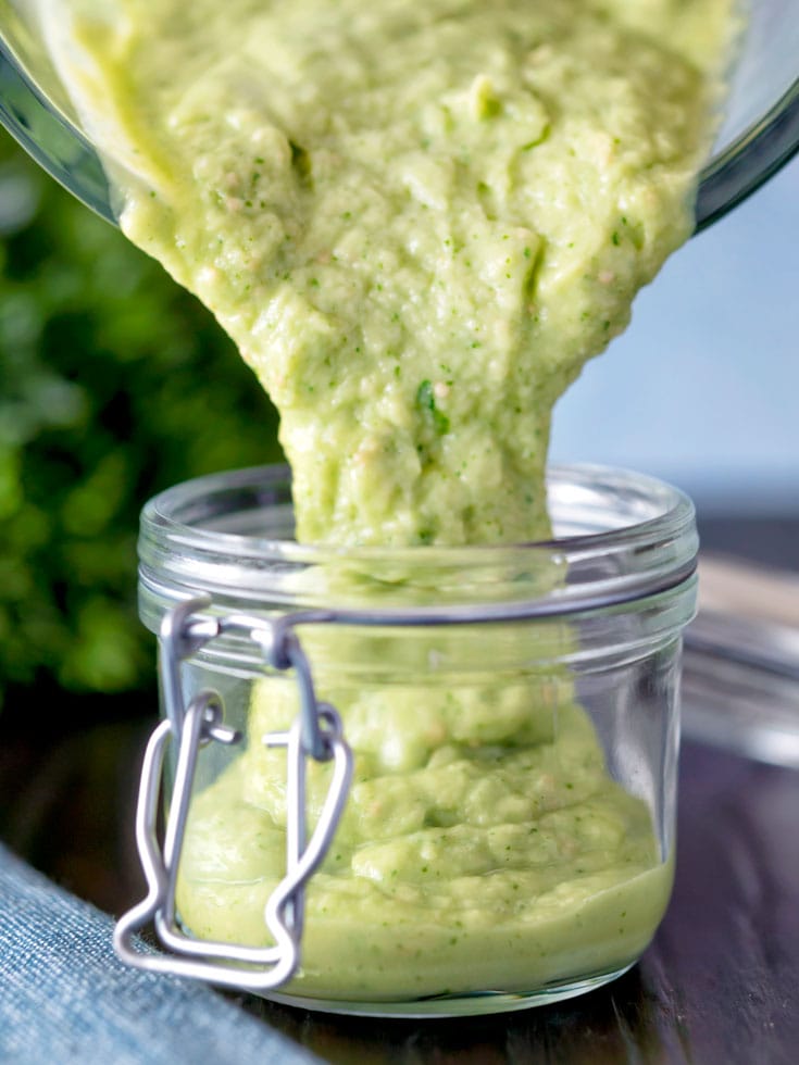 Tomatillo Avocado Salsa Recipe