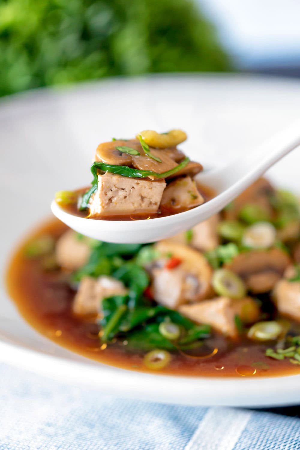 Easy Tofu Soup