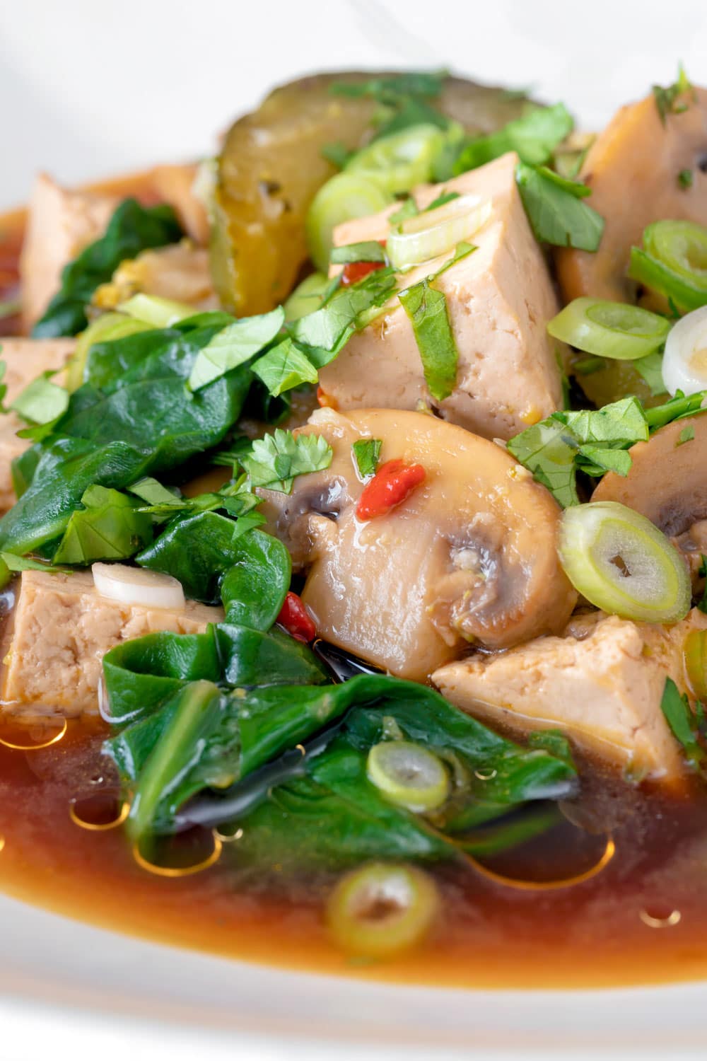 Tofu Soup